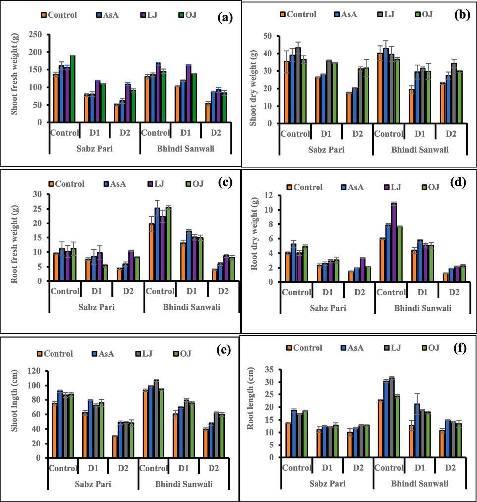 Shoot fresh weight (a), shoot dry weight (b), root fresh weight (c), root dry weight (d), shoot length (e) and root length (f) of 60 day-old plants of two cultivars of okra (Abelmoschus esculentus L.) subjected to foliar-applied different sources of ascorbic acid under varying irrigation regimes (Mean ± S.E.; n = 4). Control (received 12 irrigations); D1 (8 irrigations) and D2 (6 irrigations); AsA, Ascorbic Acid; LJ, Lemon Juice; OJ, Orange Juice.