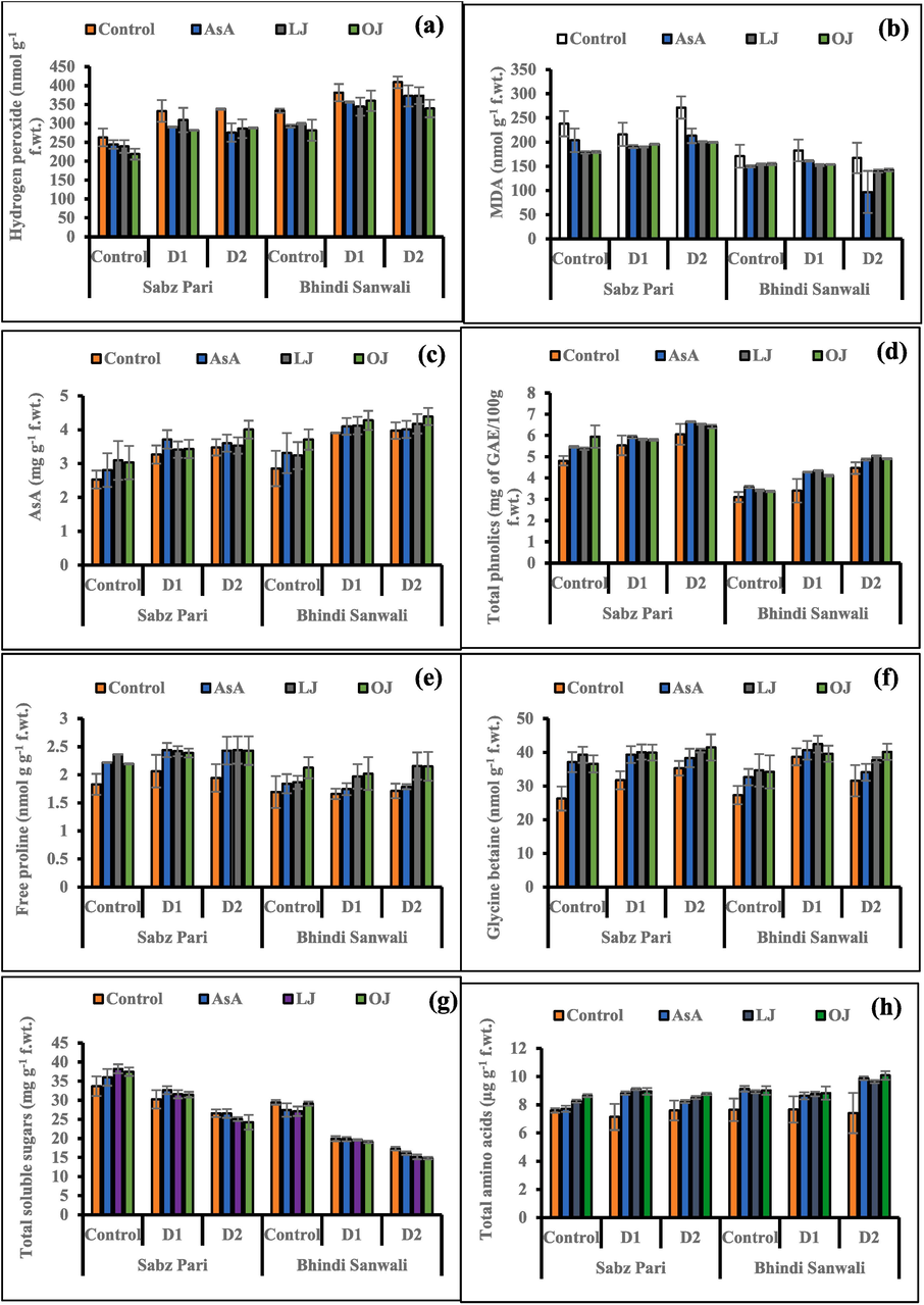 Hydrogen peroxide (a), malondialdehyde (b), AsA (c), total phenolics (d), free proline (e), GB (f), total soluble sugars (g) and total amino acids (h) of 60 day-old plants of two cultivars of okra (Abelmoschus esculentus L.) subjected to foliar-applied different sources of ascorbic acid under varying irrigation regimes (Mean ± S.E.; n = 4). Control (received 12 irrigations); D1 (8 irrigations) and D2 (6 irrigations); AsA, Ascorbic Acid; LJ, Lemon Juice; OJ, Orange Juice.