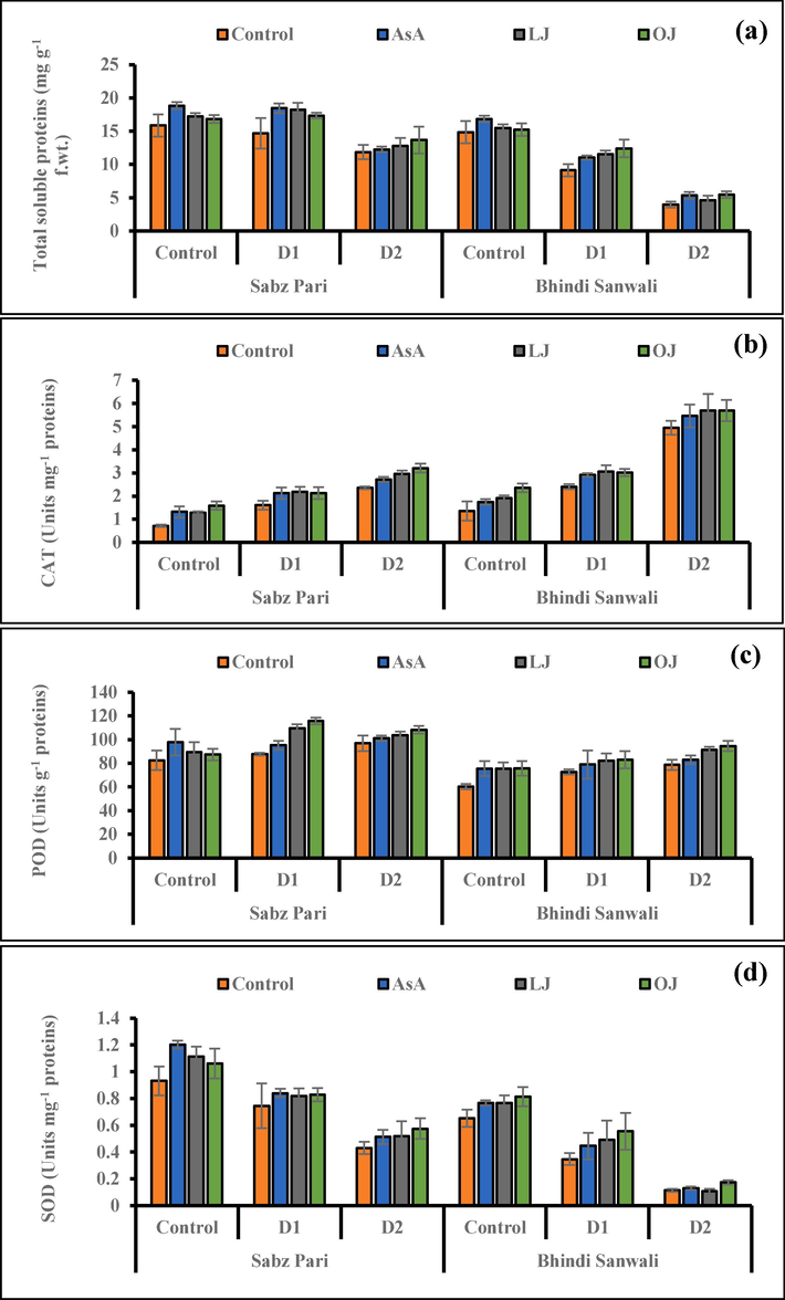 Total soluble proteins (a), activities of enzymatic antioxidants including catalase (b), peroxidase (c) and superoxide dismutase (d) of 60 day-old plants of two cultivars of okra (Abelmoschus esculentus L.) subjected to foliar-applied different sources of ascorbic acid under varying irrigation regimes (Mean ± S.E.; n = 4). Control (received 12 irrigations); D1 (8 irrigations) and D2 (6 irrigations); AsA, Ascorbic Acid; LJ, Lemon Juice; OJ, Orange Juice.