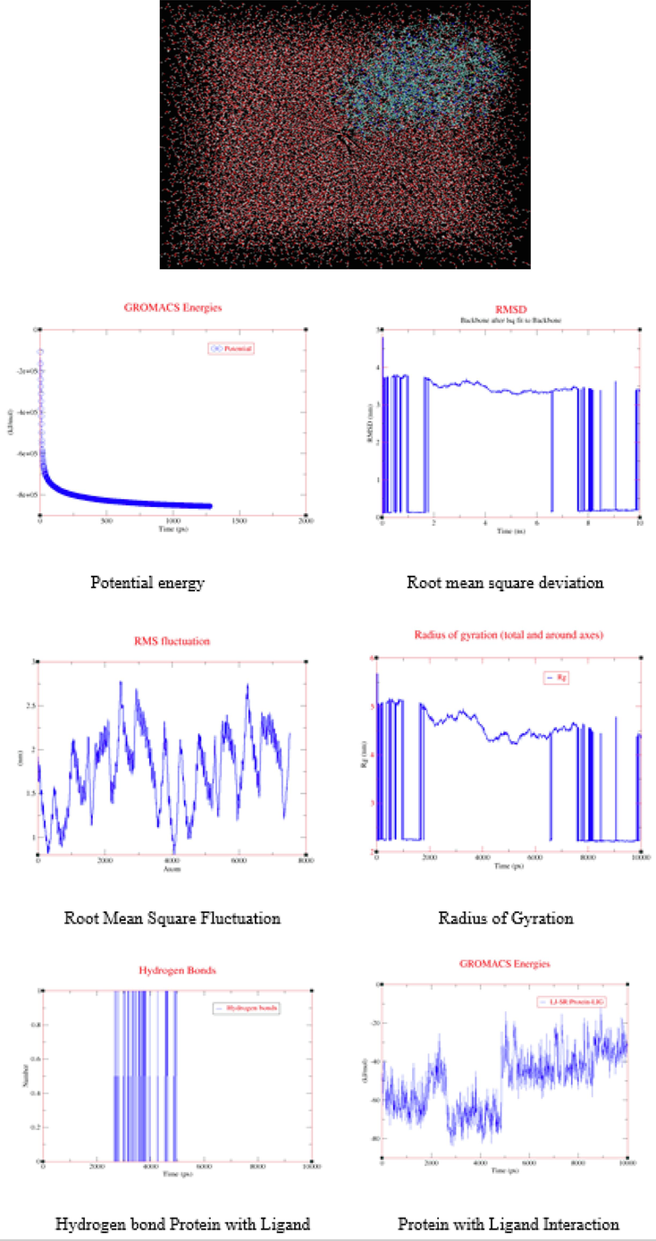 Protein with ligand in water solvent, Molecular dynamics simulation results XM-graphs.