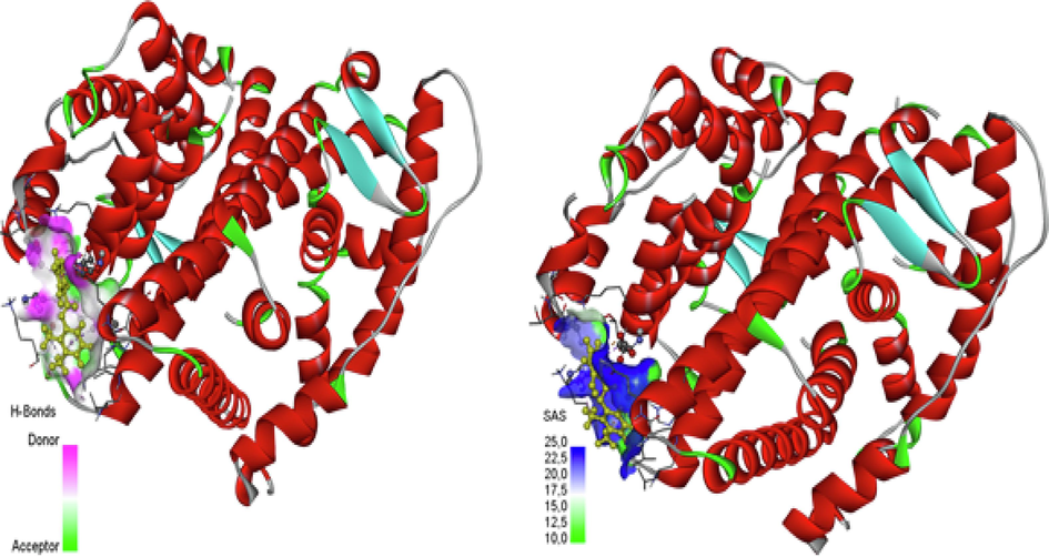 H-Bonds (Donor −Acceptor) and SAS.