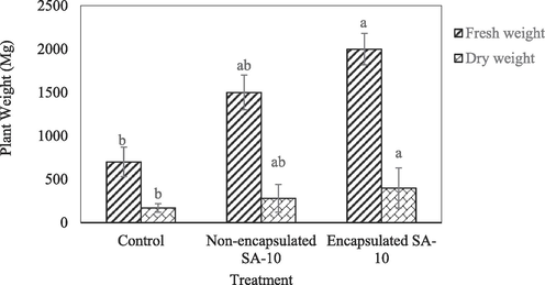 Mean value for different treatments was observed on plant height, leaf number per plant, leaf area, diameter of leaf at p < 0.05.