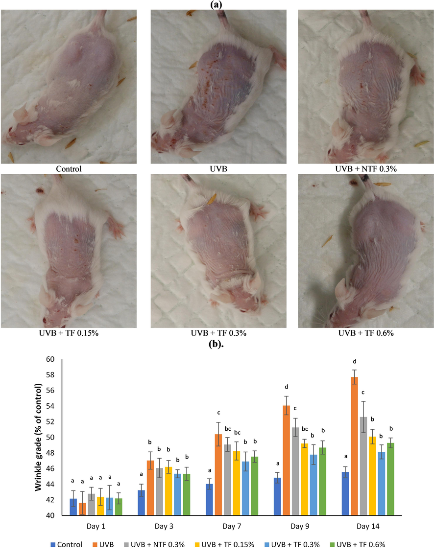 Effect of CA-TF and BEO-NE combination gel on macroscopic changes. (a). Macroscopic skin appearances. (b). Wrinkles' quantitative analysis. (c). Scores of the skin visual manifestation. Data represent mean ± SD (n = 4). The same chart's data with different notations implied significant differences at P < 0.05.