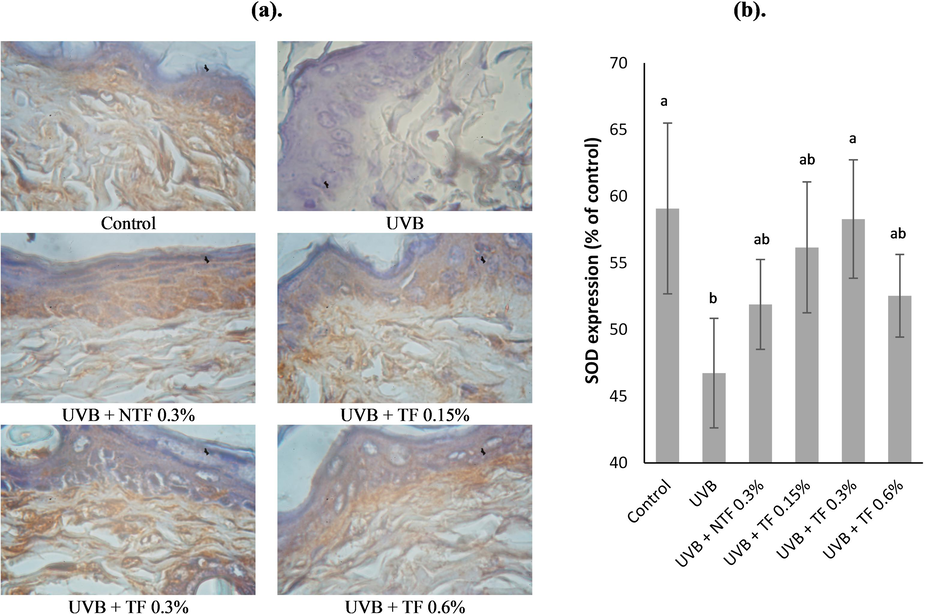 Effect of CA-TF and BEO-NE combination gel on SOD expressions. (a). SOD immunohistochemistry sections. (b). SOD expression's quantitative analysis. Data represent mean ± SD (n = 4). The same chart's data with different notations implied significant differences at P < 0.05.