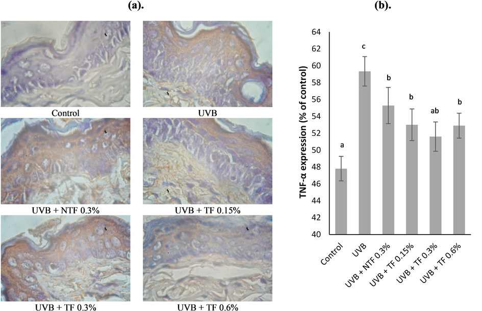 Effect of CA-TF and BEO-NE combination gel on TNF-α expressions. (a). TNF-α immunohistochemistry sections. (b). TNF-α expression's quantitative analysis. Data represent mean ± SD (n = 4). The same chart's data with different notations implied significant differences at P < 0.05.