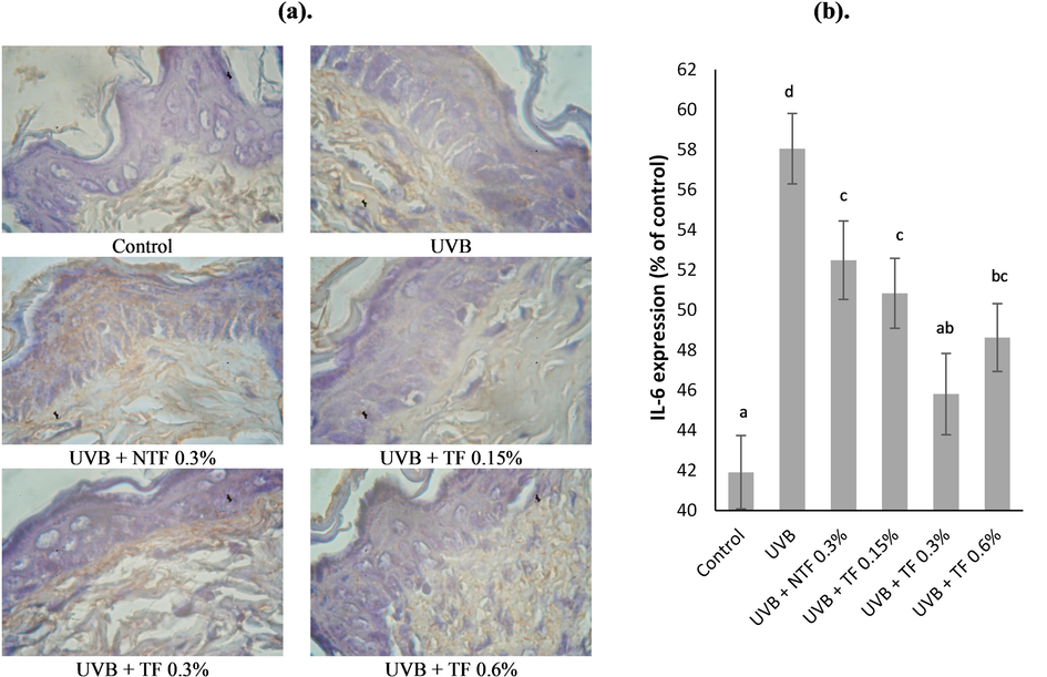 Effect of CA-TF and BEO-NE combination gel on IL-6 expressions. (a). IL-6 immunohistochemistry sections. (b). IL-6 expression's quantitative analysis. Data represent mean ± SD (n = 4). The same chart's data with different notations implied significant differences at P < 0.05.