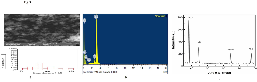 (a) SEM image of biosynthesized AgNPs. (b)The Nanomeasurer calculated size is 144 nm, EDX analysis of synthesized silver nanoparticles. (c) XRD analysis of synthesized silver nanoparticles by Beta maritime.
