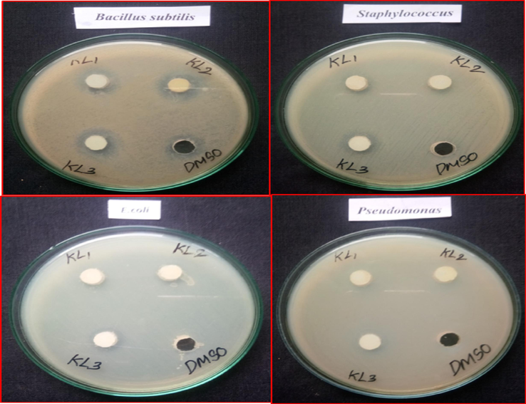 Bactericidal properties of pristine CeO2 NPs and Ba doped CeO2 NPs by co-precipitation approach.