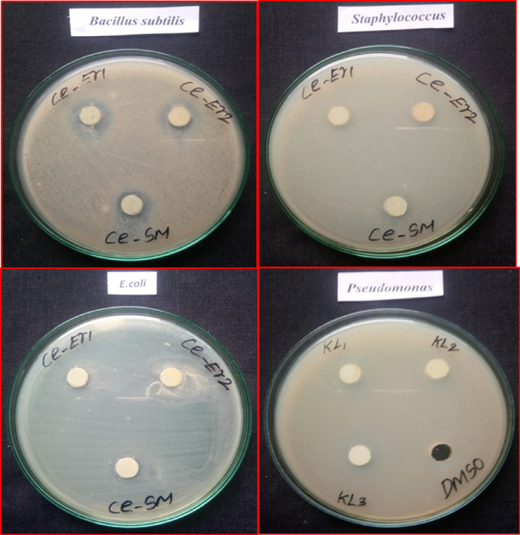 Bactericidal properties of pristine CeO2 NPs and Er doped CeO2 NPs by Co-precipitation approach.