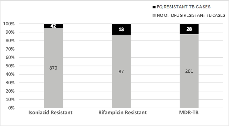 Mutational analysis of FQR among the H/R-mono-resistant and MDR-TB isolates (H-isoniazid, R-Rifampicin, MDR-Multi drug resistant).