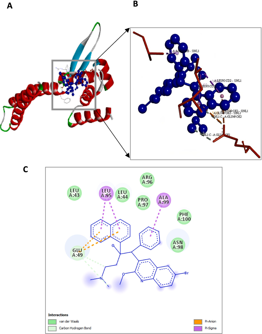 Bedaquiline (blue colour ball and stick model) interactions with Rv0678 represented in (A) solid ribbon model with; (B) active site amino acid residues amino acid residues represented in red colour line model; (C) Pi-Anion are shown in orange dotted lines and Pi-sigma are shown in purple dotted lines), Carbon hydrogen bonds are shown in (light blue colour circles). van der Waals interactions (light green colour circles).