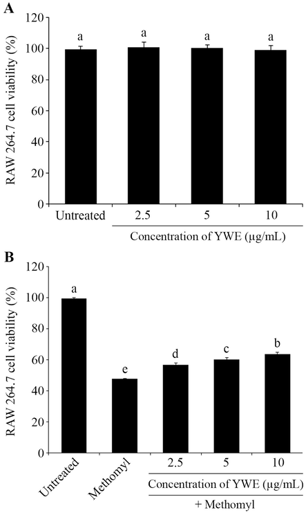 Toxicity and protective effect of Yanang water extract (YWE) on methomyl- induced cytotoxicity in RAW 264.7 cells. (A) RAW 264.7 cells were exposed to YWE at concentrations of 2.5 – 10 µg/mL for 24 h and then assessed using the MTT assay to determine their effect on cell viability. (B) The RAW 264.7 cells viability was measured using MTT assay after a 24 h incubation with 11,000 µM methomyl and supplementation with different concentrations of YWE (2.5 – 10 μg/mL) to evaluate its protective effect. The data are presented as mean ± SD. Different letters on the top of each bar are significantly different, p ≤ 0.05.