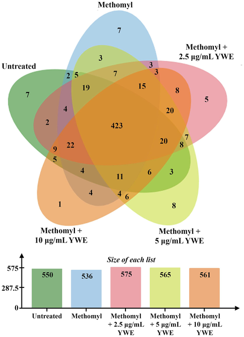 Venn diagram presenting the expressed proteins of 5 treatments, including untreated control (550 proteins), methomyl treatment (536 proteins), and supplementation of 2.5 μg/mL Yanang water extract (YWE) (575 proteins), 5 μg/mL YWE (565 proteins), and 10 μg/mL YWE (561 proteins) to methomyl treated RAW 264.7 cells.