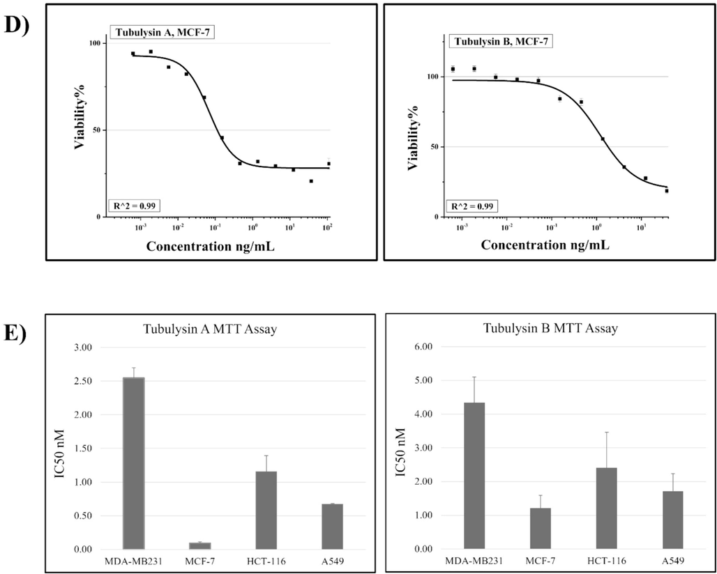 Concentration-dependent growth inhibition of: A) A549, B) MDA-MB231, C) HCT-116 and D) MCF-7 cell lines by TubA & B. R2 is the proportion of the variation. E) Represents a comparison between the value of the IC50 in tested cell lines.
