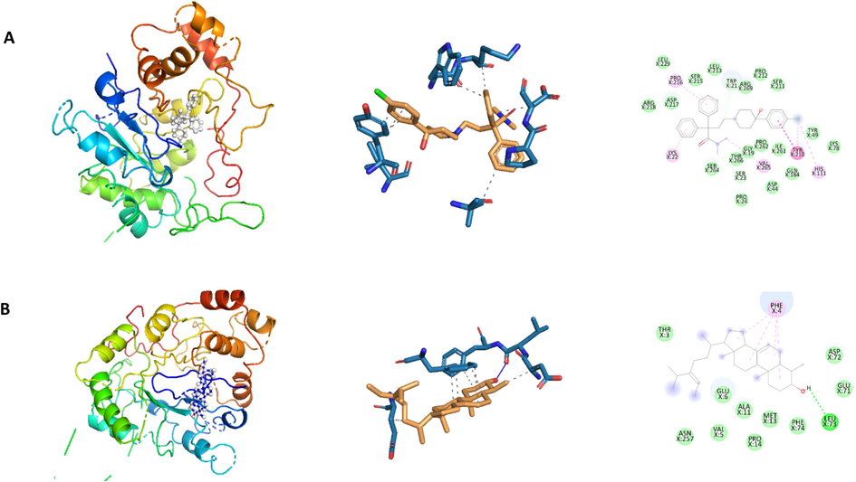  The docked poses of compounds and 3D structures of docked complexes of secondary metabolites, (A) Loperamide (−10.90 kcal/mol) and (B) á-Sitosterol (−10.90 kcal/mol) in the substrate binding sites of 4WEV.