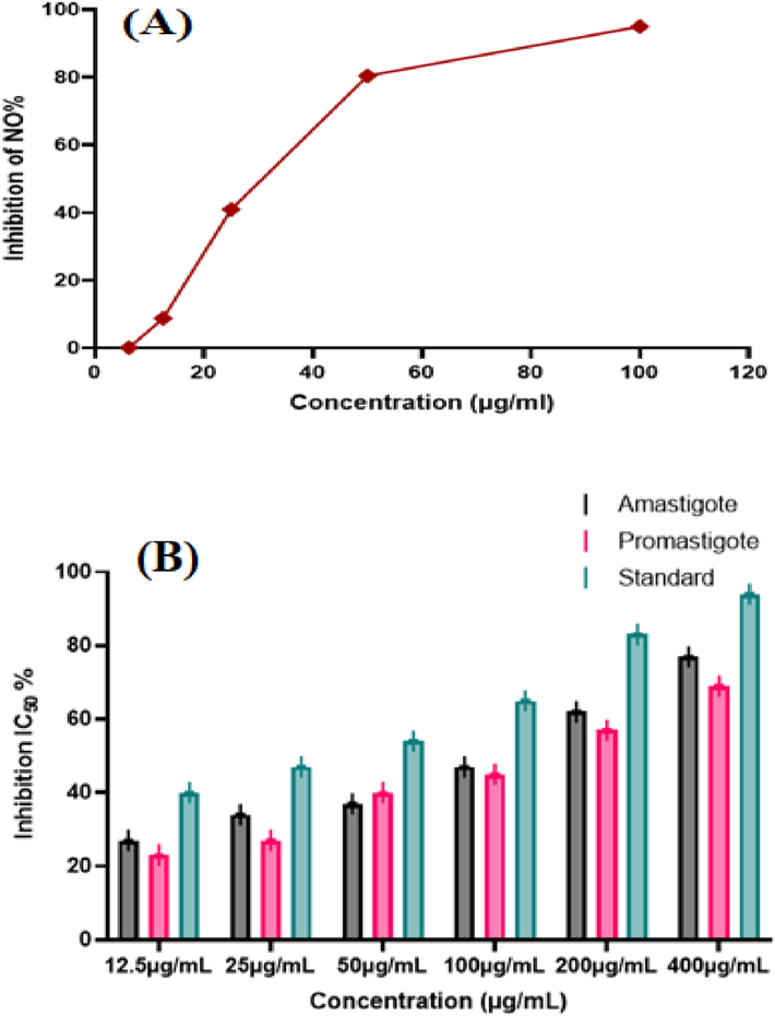 Anti-inflammatory potential of PdNPs increased with respect to increase in NPs dose (A), Anti-leishmanial activity of Biosynthesized PdNPs against amastigote and promastigote (B).