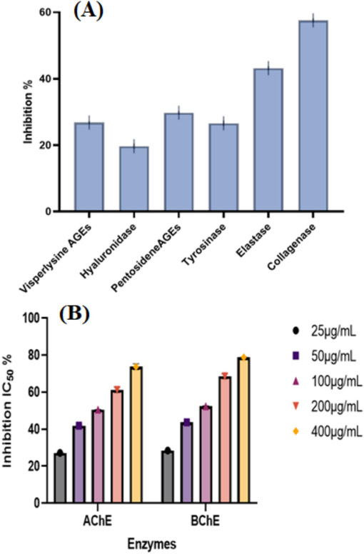 Anti-aging potential of PdNPs (A), Anti-Alzheimer's potential at varying concentrations of PdNPs (B).