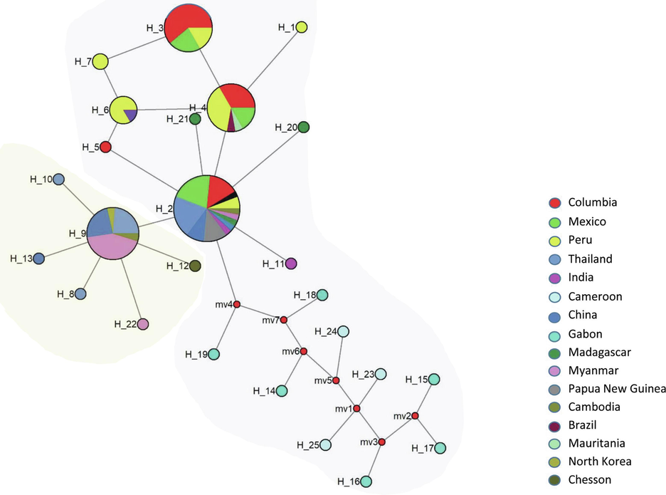 Haplotype network of PvHAP2 from 118 sequences from 16 countries. The highlighted clusters represents the two different subpopulation. Various colors represent different locations. Circles represent haplotypes with sizes proportional to haplotype frequency.