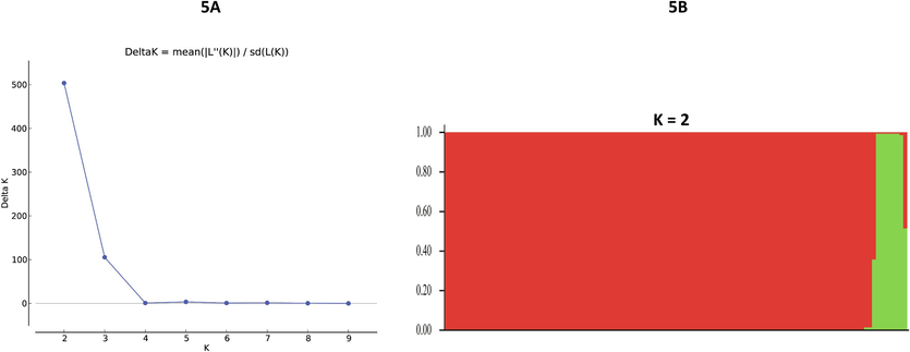 Most likely number of Plasmodium vivax parasite subpopulation clusters (K) within 16 countries based on Hap2 sequences (K = 2, ΔK = 503.64). Bayesian model–based STRUCTURE version 2.3.4 software was used.