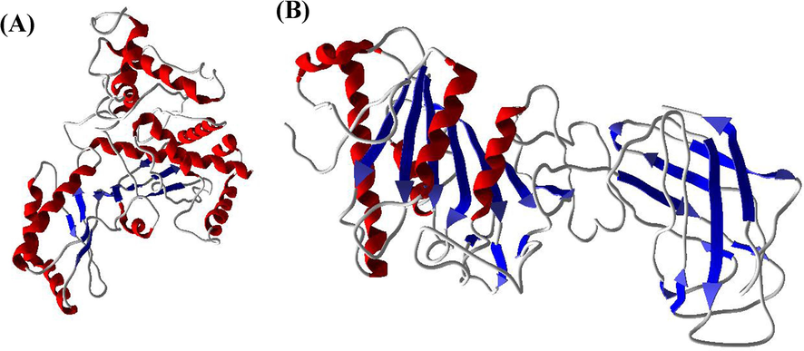 A and B. 3-Dimentional structures of lipid metabolizing enzymes HMG-CoA reductase and Lipoprotein lipase (LPL).