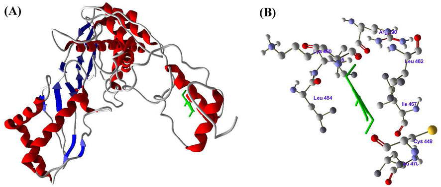 A and B. Molecular docking of Syringic acid (SA) with HMG-CoA reductase enzyme.