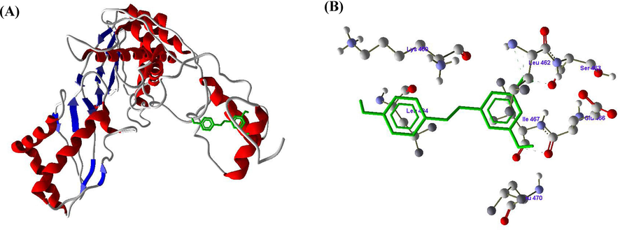 A and B. Molecular docking of Resveratrol (RV) with HMG-CoA reductase enzyme.