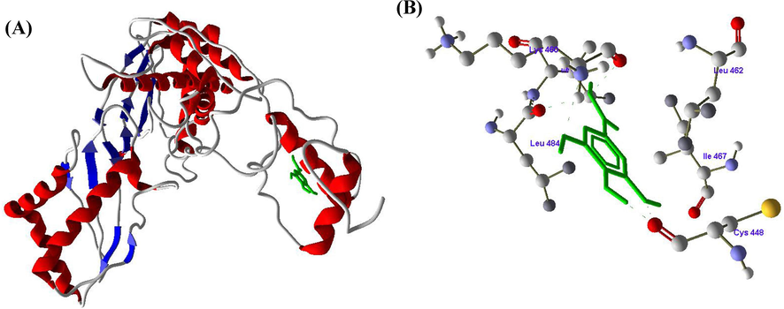 A and B. Molecular docking of Gallic acid (GA) with HMG-CoA reductase enzyme.