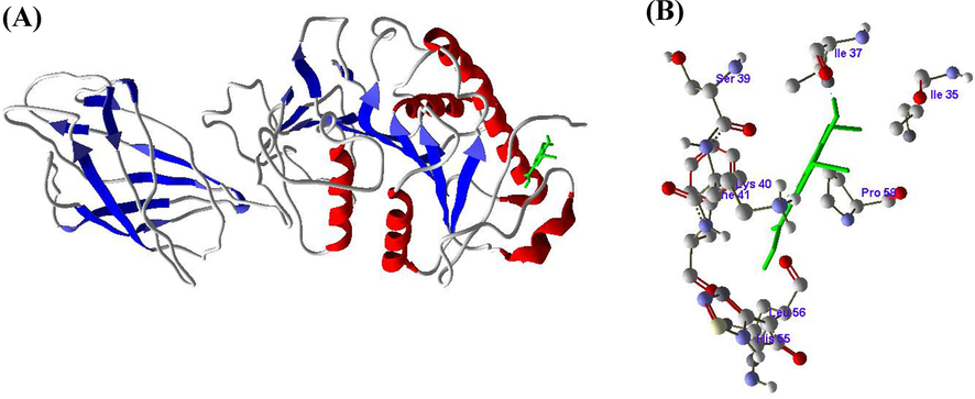 A and B. Molecular docking of Syringic acid (SA) with Lipoprotein lipase (LPL) enzyme.