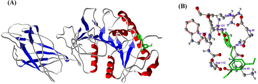 A and B. Molecular docking of Resveratrol (RV) with Lipoprotein lipase (LPL) enzyme.