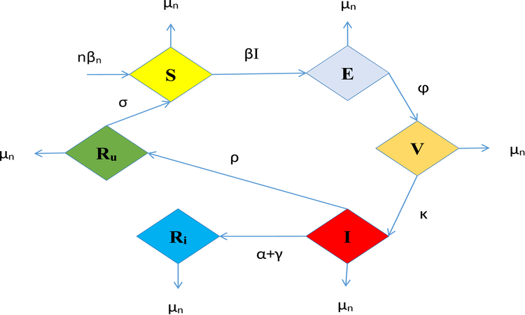 The flowchart of the model formulation.