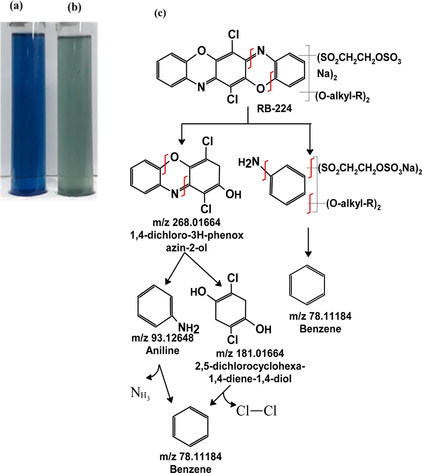 Decolorization of RB-224 by 1 % inoculum of A. baumannii 1005 at 24 h, (a) control RB-224, (b) RB-224 after treatment by A. baumannii 1005, (c) Proposed biodegradation mechanism of RB-224 by A. baumannii 1005.