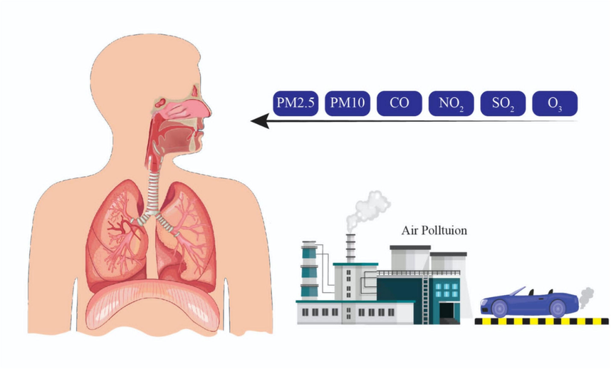 Environmental pollutants entry into the lungs and pathophysiology.