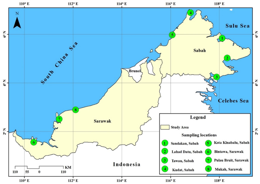 Sampling locations of Euthynnus affinis specimens collected from the South China Sea, Sulu Sea, and Celebes Sea regions.