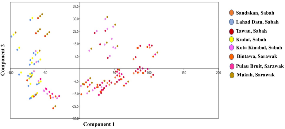 Scatterplot of first two principal components of Euthynnus affinis (n = 188) based on morphometric measurements.