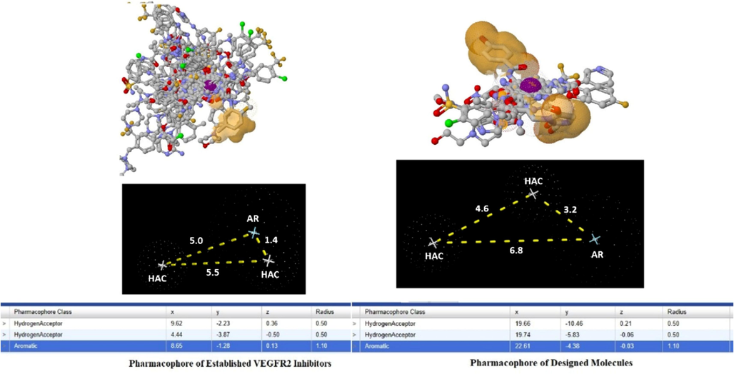 Pharmacophore of the established and designed VEGFR2 inhibitors.