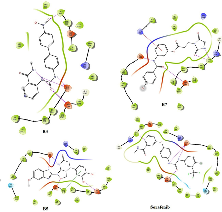 Molecular docking interaction image of B3, B5, B7 and Sorafenib with VEGFR2 (Glide software).