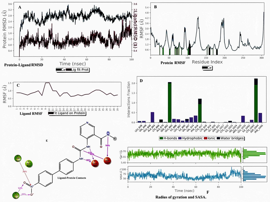 Molecular dynamics simulation analysis of B3 with VEGFR2. (A) Protein-Ligand RMSD. (B) Protein RMSF (C) Ligand RMSF. (D) Histogram represents the Protein-Ligand interactions. (E) Ligand Contacts. (F) Rg and SASA values.