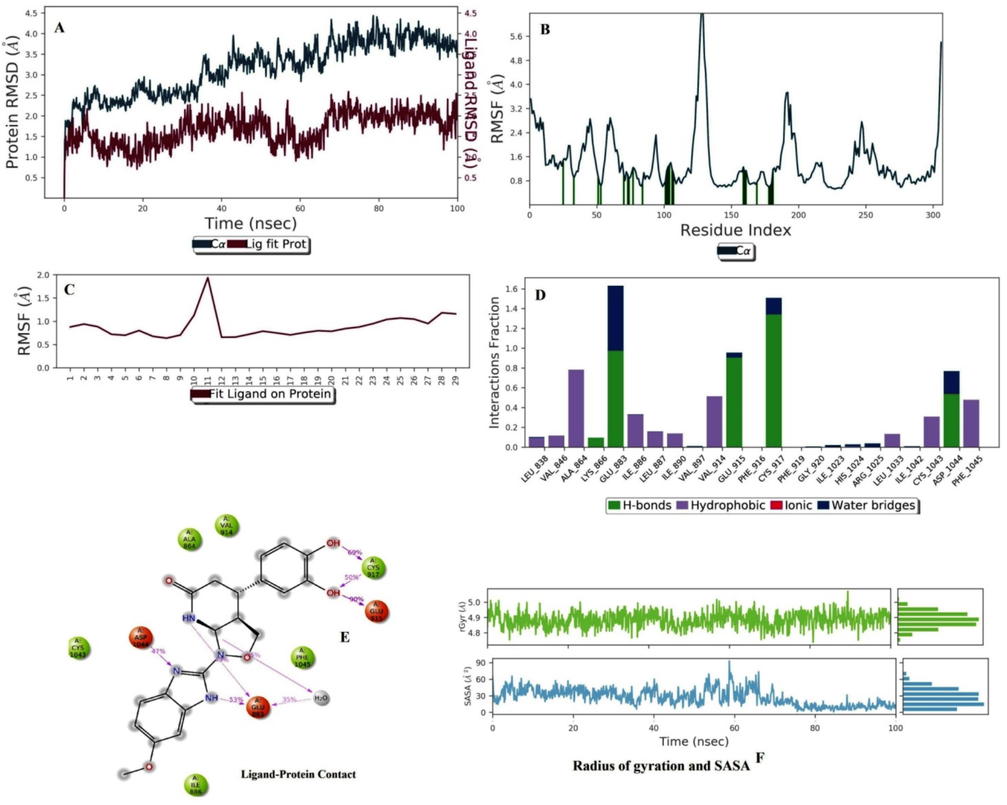 Molecular dynamics simulation analysis of B5 with VEGFR2. (A) Protein-Ligand RMSD. (B) Protein RMSF (C) Ligand RMSF. (D) Histogram represents the Protein-Ligand interactions. (E) Ligand Contacts. (F) Rg and SASA values.