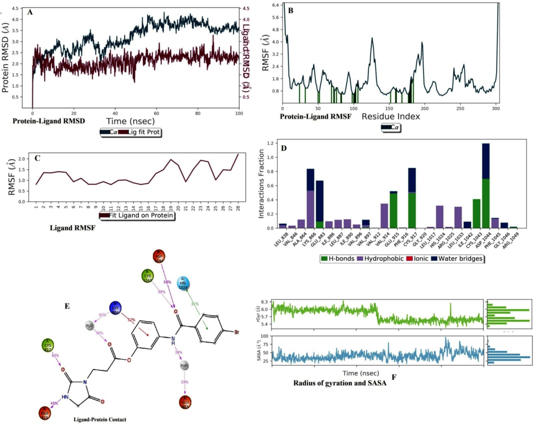 Molecular dynamics simulation analysis of B7 with VEGFR2. (A) Protein-Ligand RMSD. (B) Protein RMSF (C) Ligand RMSF. (D) Histogram represents the Protein-Ligand interactions. (E) Ligand Contacts. (F) Rg and SASA values.