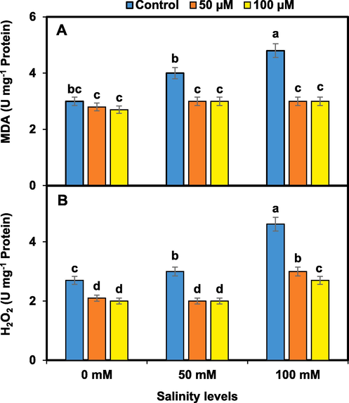 Melatonin effects on oxidative [MDA (A) and H2O2 (B)] stress indicators in pansy under salinity. Mean values sharing different lettering showed significant effects on traits at 0.05 probability. Data presented are means ± SEs (n = 3).