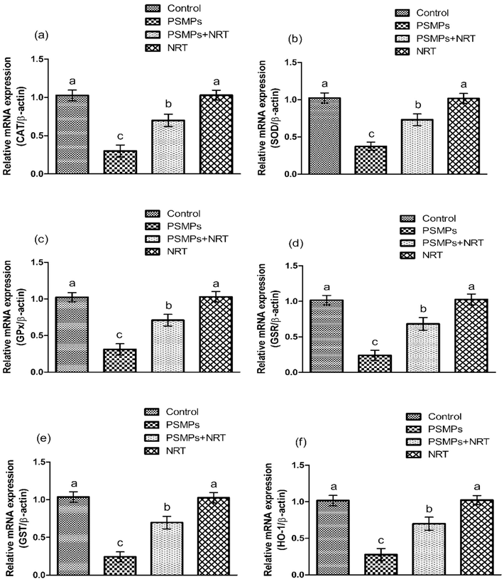 Represents the impact of NRT & PSMPs on a) CAT, b) SOD, c) GPx, d) GSR, e) GST & f) HO-1 expressions in 4 different groups. Different superscripts on bars demonstrates substantial alterations.