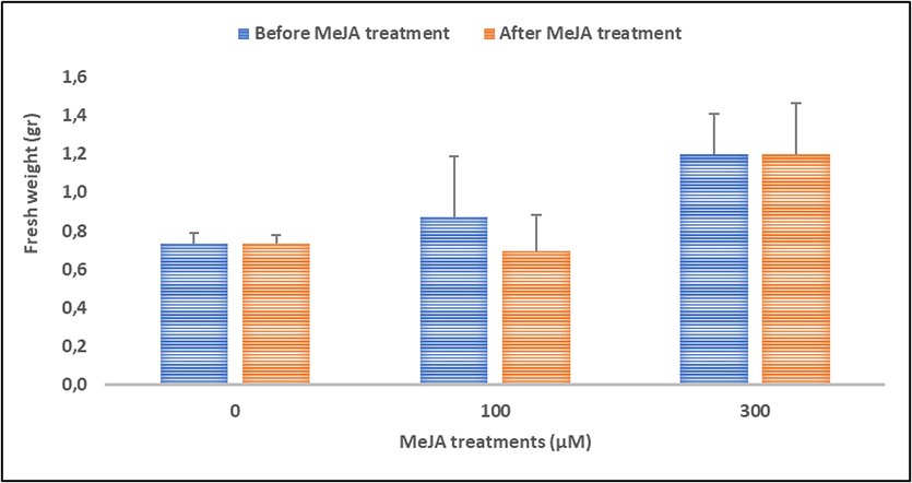 Effect of Methyl Jasmonate (MeJA) treatment on the fresh weight of patchouli plants. Blue and red histograms represent fresh weight of patchouli plants before and after MeJA treatments, respectively. (For interpretation of the references to colour in this figure legend, the reader is referred to the web version of this article.)