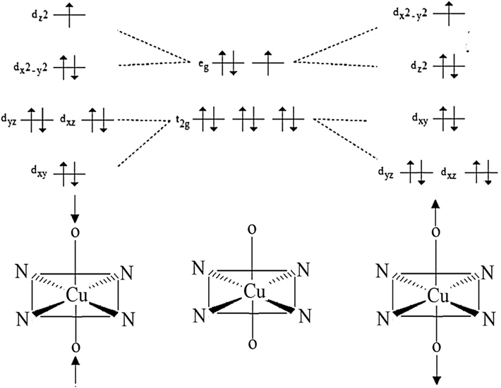 The elongation/compression Jahn–Teller diagram in the trans-O2CuN4 complex.