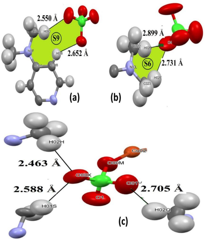 (a) 2D-S9, (b) 2D-S6 synthons, and (c) 1D-interactions around ClO4 anion ligand.