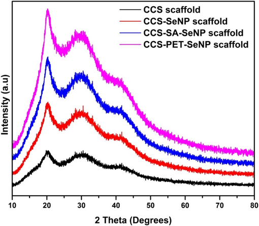 The XRD patterns illustrate the semi-crystalline nature and phases in the CCS scaffold, CCS-SeNPs, CCS-SA-SeNPs scaffold and CCS-PET-SeNPs scaffold.