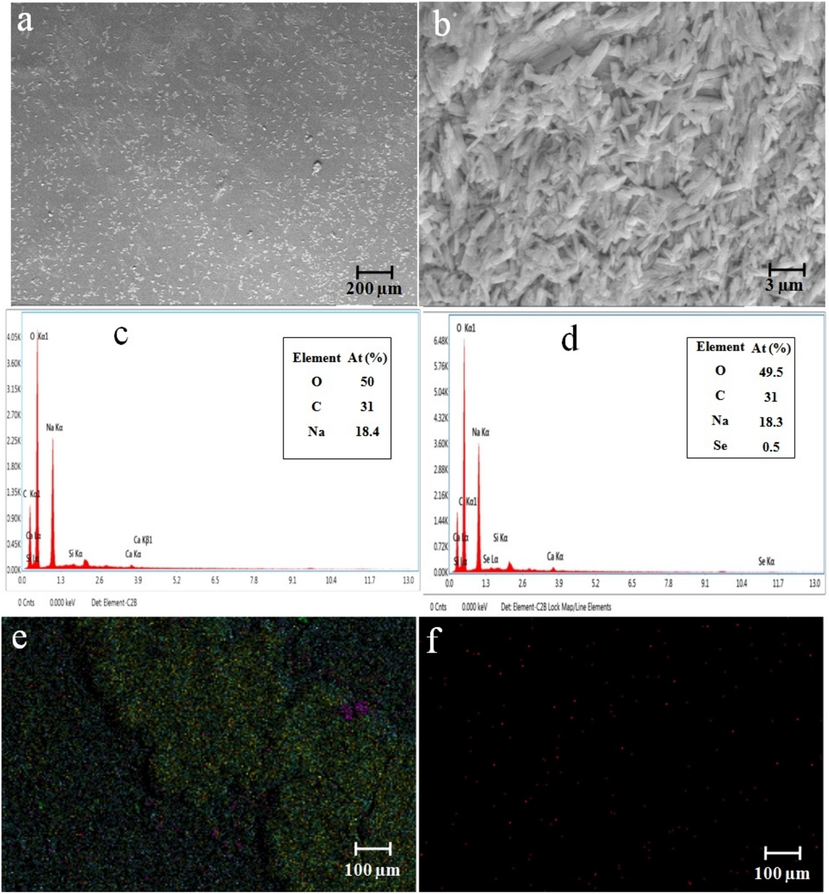 (a-b) SEM observation of CCS and CCS-SeNPs scaffolds; (c) EDX spectrum and (e) EDX mapping of CCS scaffold; (d) EDX spectrum and (f) EDX mapping of CCS-SeNPs scaffold.