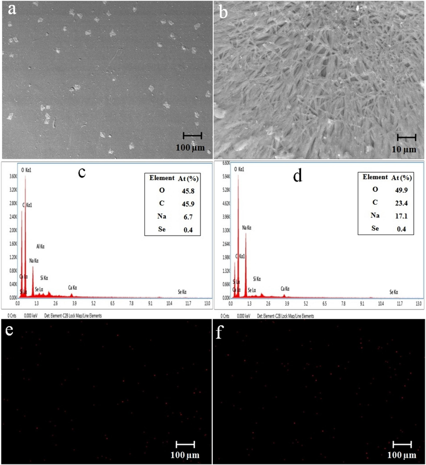 (a-b) SEM observation of CCS-SA-SeNPs and CCS-PET-SeNPs scaffolds; (c) EDX spectrum and (e) EDX mapping of CCS-SA-SeNPs scaffold; (d) EDX spectrum and (f) EDX mapping of CCS-PET-SeNPs scaffold.