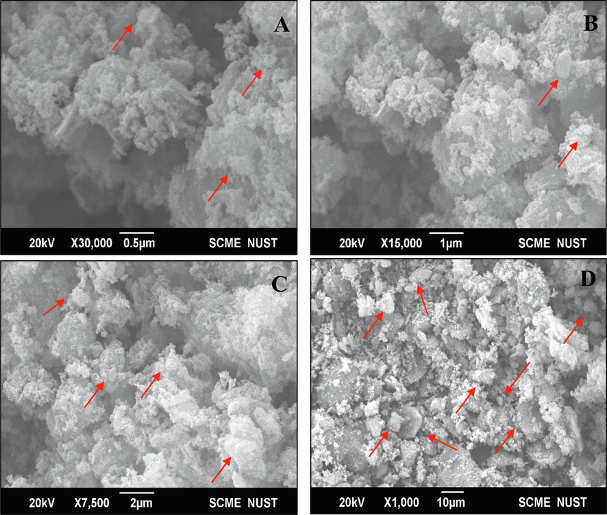 SEM images of biosynthesized copper nanoparticles under different magnifications such as 0.5 µm (A), 1 µm (B), 2 µm (C), and 10 µm (D).