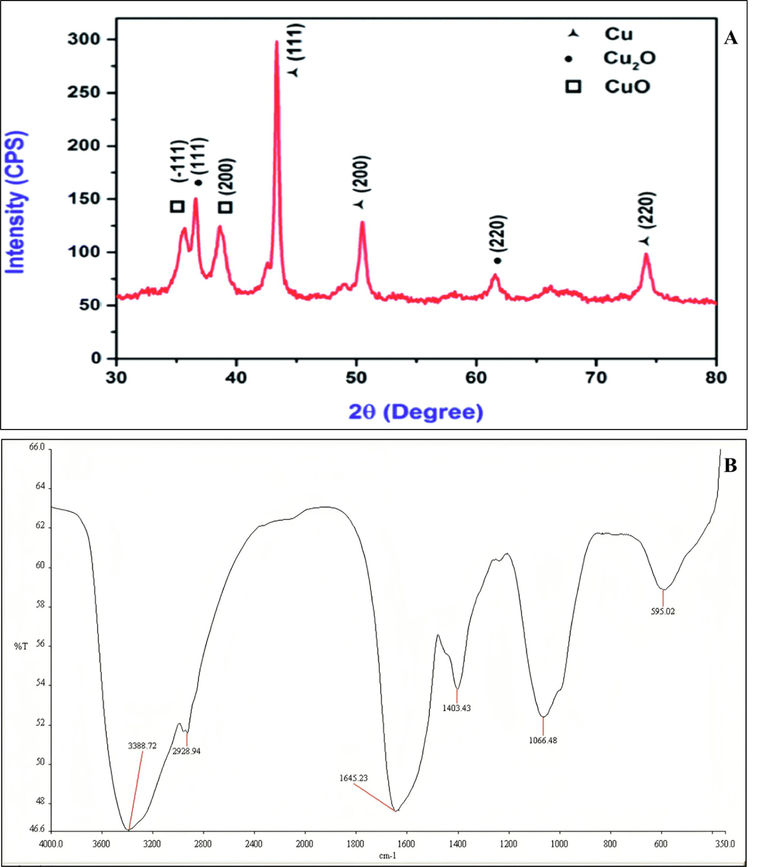 XRD (A) and FTIR (B) spectrum of biologically synthesized copper nanoparticles using Bacillus spp.