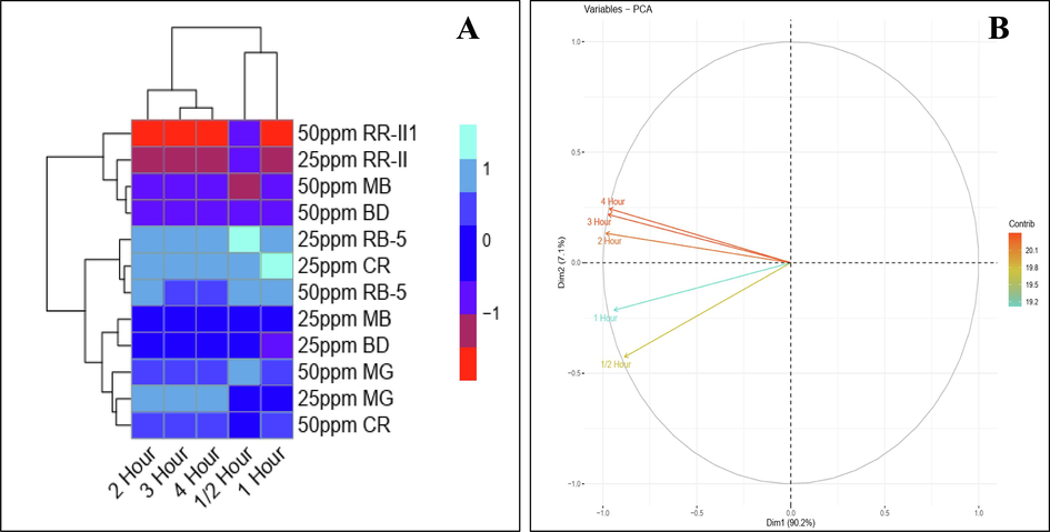 Heat map (A) and Principle component analysis (B) using different concentrations of dyes under solar irradiation of 4 h.